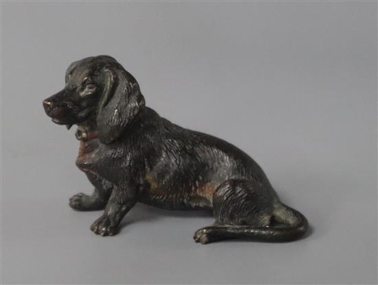 A cold plated bronze of a dachshund